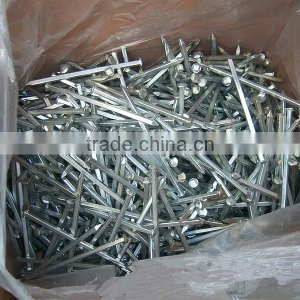 Cheap Price Hot Dipped Galvanized Boat Nails Square Shank Boat Nails photo-6