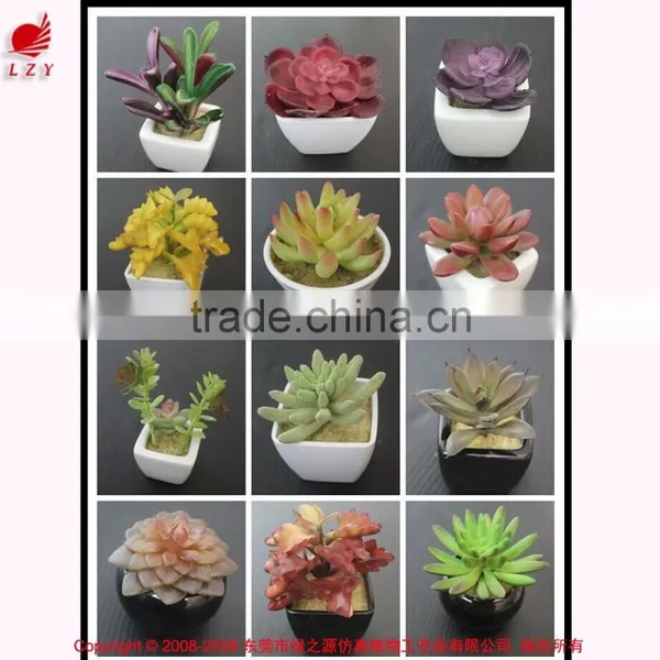 Nice Cheap Artificial Mini Succulent Plants Artificial Plants High Quality Fake Succulent Plants photo-3