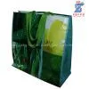 Reusable PP Woven Bag