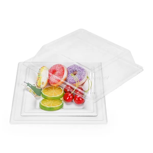 6'' 8''10'' Square Sugarcane Bagasse Plates China Supplier Wholesale Biodegradable Compostable Microwave and Freezer Safe photo-4