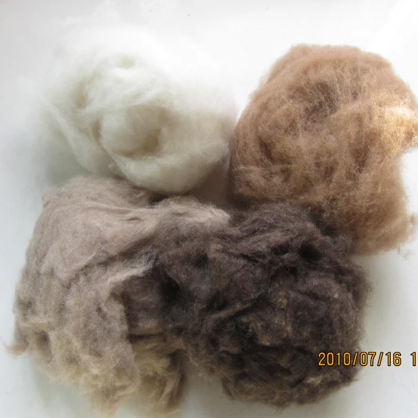 Wool Fiber For Spinning Icelandic Sheep Wool Greasy Sheep Wool photo-4