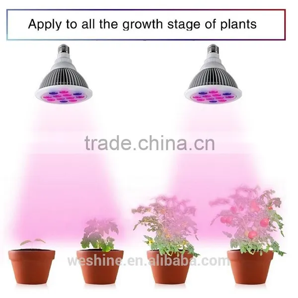 Amazon Hot in USA Europe 24w 12w E27 Led Garden Light Chinese Best 12w E27 Led Plant Grow Lights PAR38 E27 12W Led Grow Light photo-4