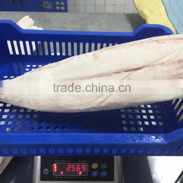 Frozen Oilfish Filets photo-2