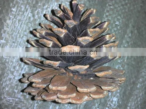 Christmas Tree Decoration Pine Cone photo-6