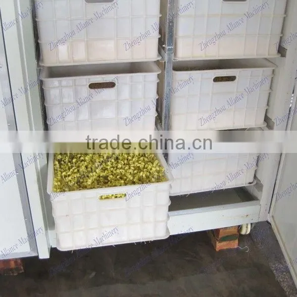 Hot Sales Automatic Equipments for Shoots /peas /radish /alfalfa Sprouts Cultivate photo-4