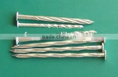 Top Selling Galvanized Twisted Nails China Manufacturer photo-2
