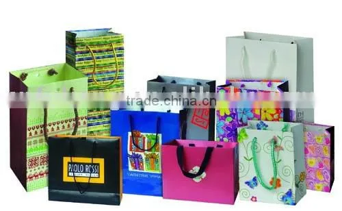 Shopping Paper Bag