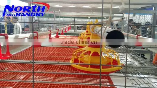 Poultry Equipment Farming Dry Wet Feeder photo-4