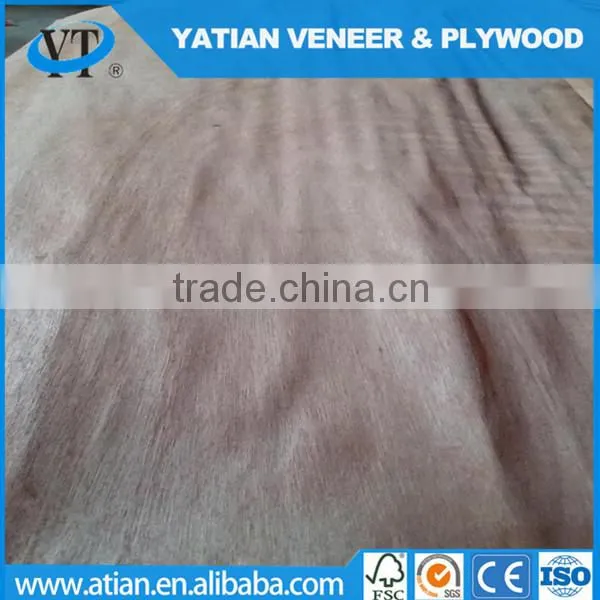 Grade ABCD 0.25-0.30mm Plywood Water Gum Veneer photo-6