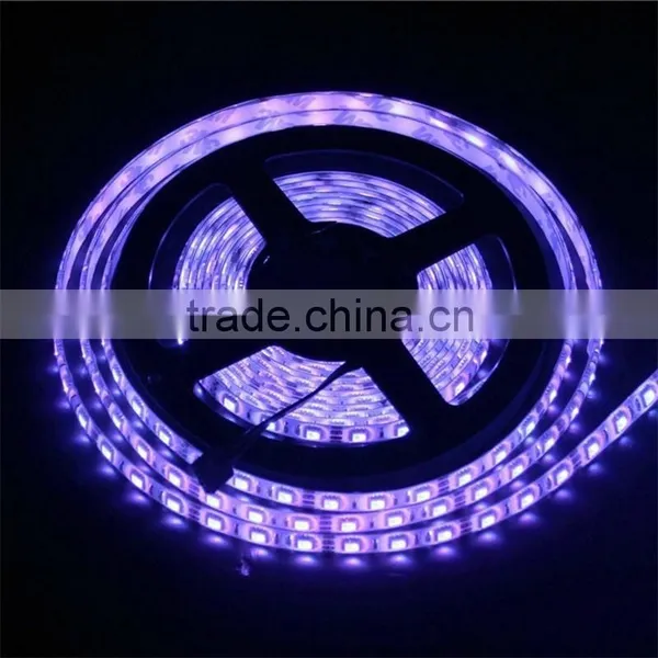 30W Bright SMD 5630 Waterproof 300 LED Strip Light 12V Flexible 5M/roll Cold Warm White RGB Red Blue Green photo-5