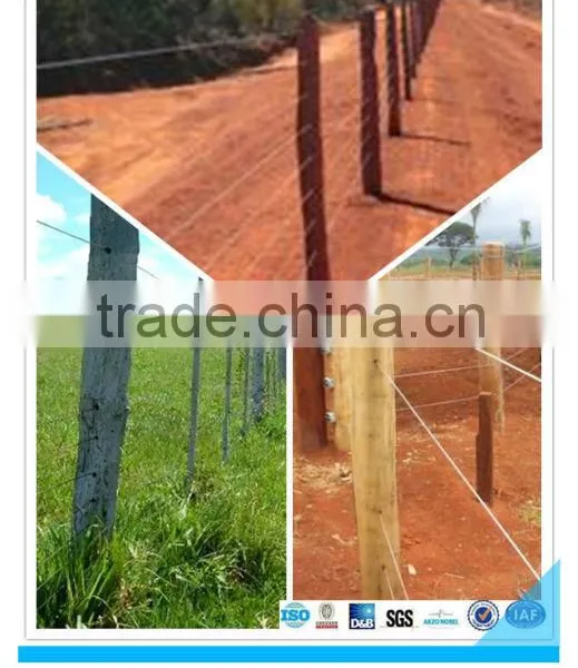 Cheaper High Tensile Galvanized Steel Oval Wire photo-2