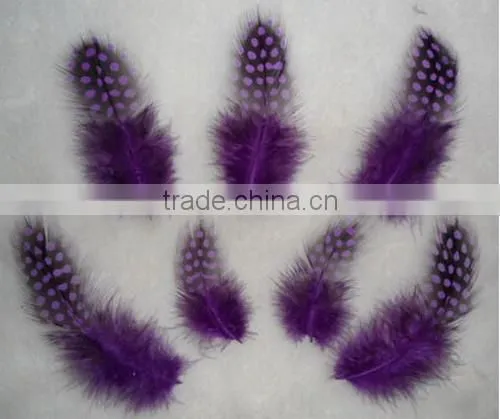 Guined Fowl Spot Feather For Handmade Gift Decoration photo-2
