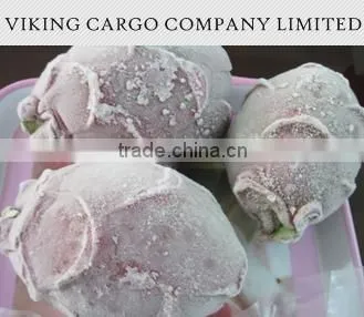VIET NAM _ FROZEN DRAGON FRUIT _ GOOD PRICE