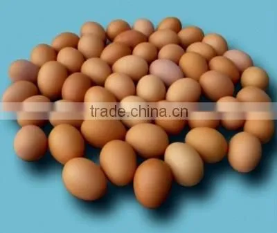 VIET NAM Fresh Brown Chicken Eggs photo-3