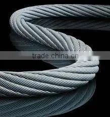 304 7*7/6*19/7*19 Stianless Steel Cable/ Steel Wire Rope photo-3