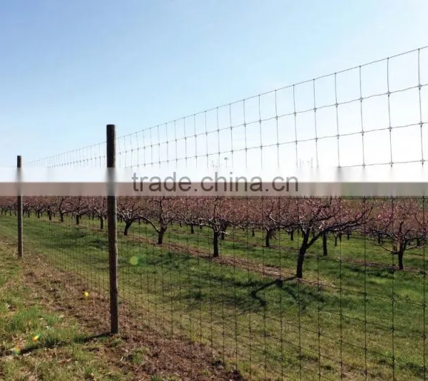 Plastic Mesh Deer Fencing photo-3
