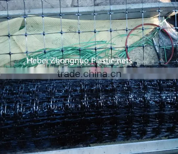 Portable Plastic Fencing Net for Chicken&sheep&deer/poultry Netting photo-3