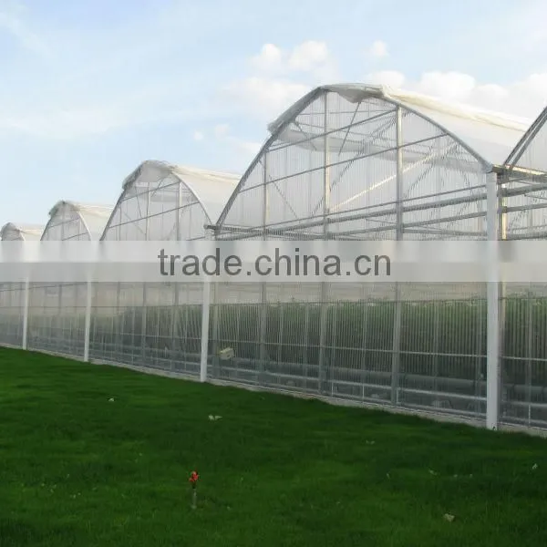 High Quality Greenhouse With NFT Growing System