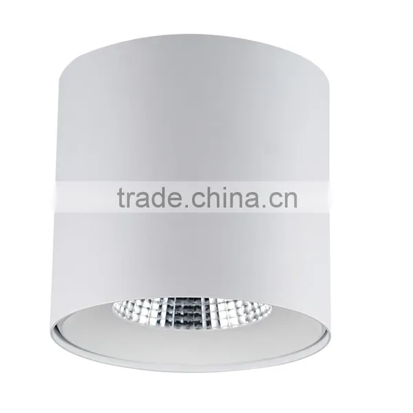 Factory Price High Quality High CRI 25W Led Surface Mounted Downlight photo-2
