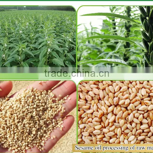 China Toasted Sesame Oil photo-3