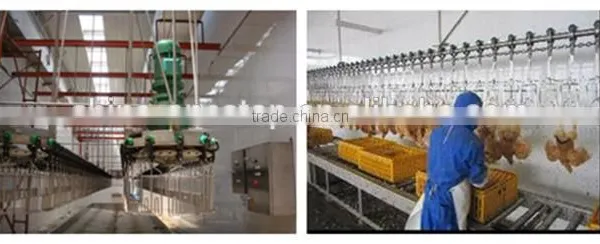 Poultry Slaughter Equipment / Poultry Plucking Machine Chicken Duck Goat Plucker photo-5