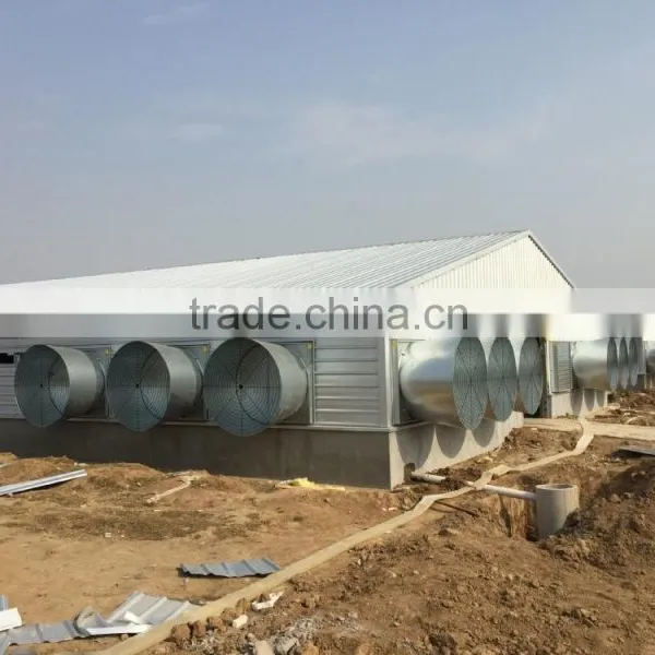 Professional Broiler Chicken House Building photo-3