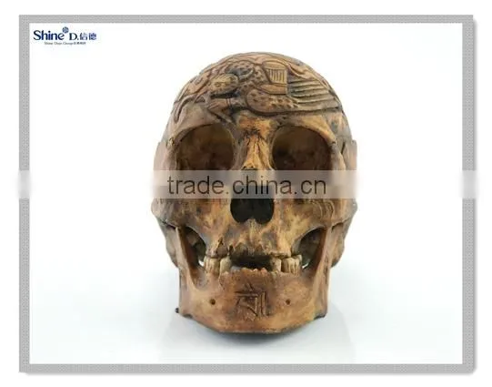 Polyresin Relief Sculpture Human Head Skeleton for Halloween Party Decor