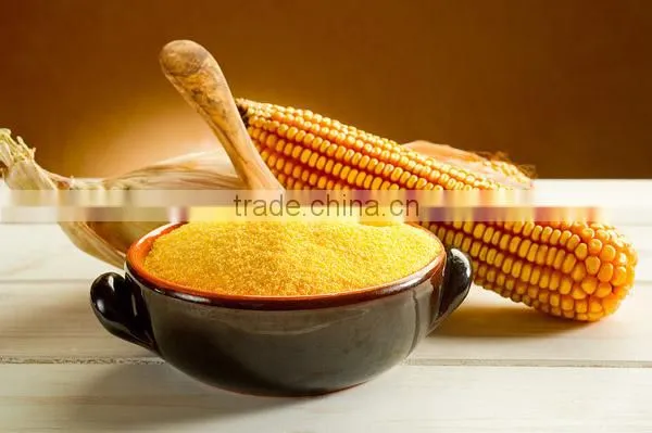 Conr Grits From Ukraine