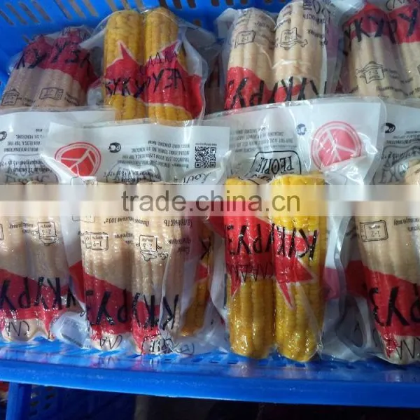 Canned Sweet Corn photo-2