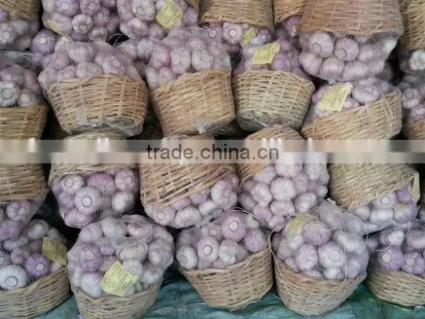 Garlic ( White - Red ) High Quality photo-3