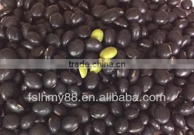Big Black Bean/black Soya Bean/black Soybean With Green Kernel