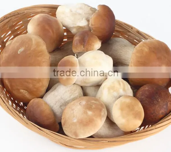 Commerical Mushroom Floss Machine/mushroom Floss Making Machine/fungus Floss Making Machine photo-4