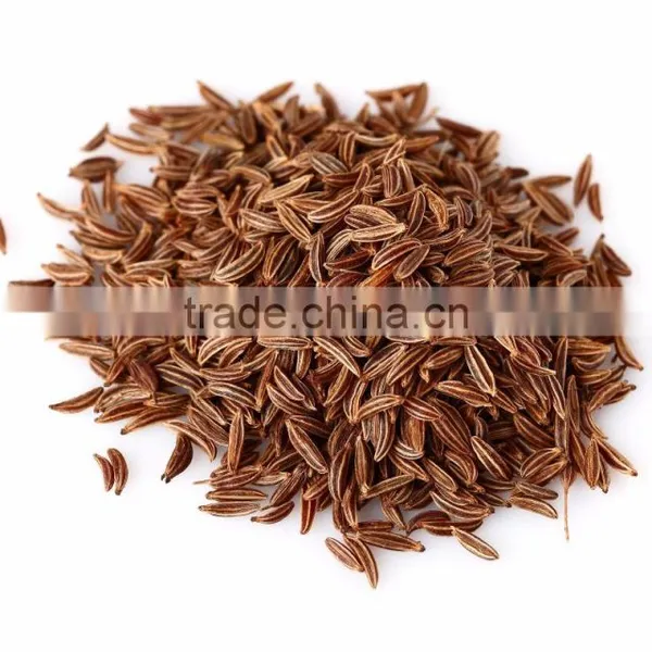 CARAWAY ESSENTIAL OIL photo-2
