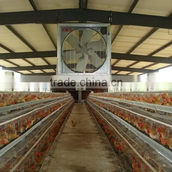 Professional Greenhouse Exhaust Fan Ventilation and Cooling Fan photo-3