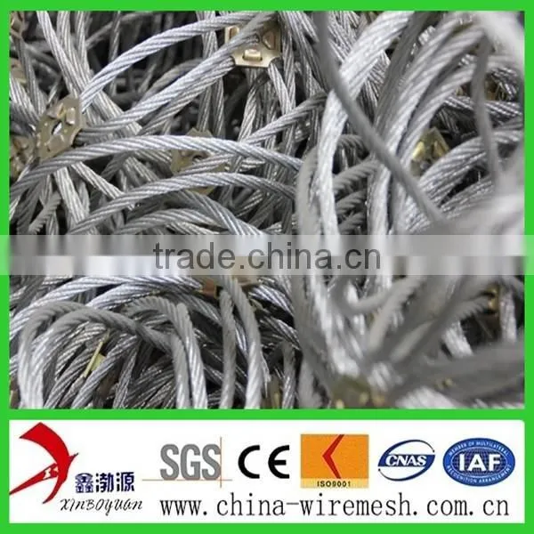 Anping China Supplier Flexible Ring Network/ Passive Slope Netting/flexible Metal Mesh Netting photo-2