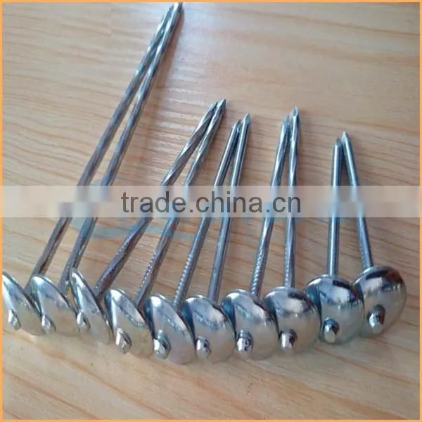Top Quality Color Zinc Coated Wired Coil Roofing Nail Trusted Chuanghe Suppliers From Com photo-3