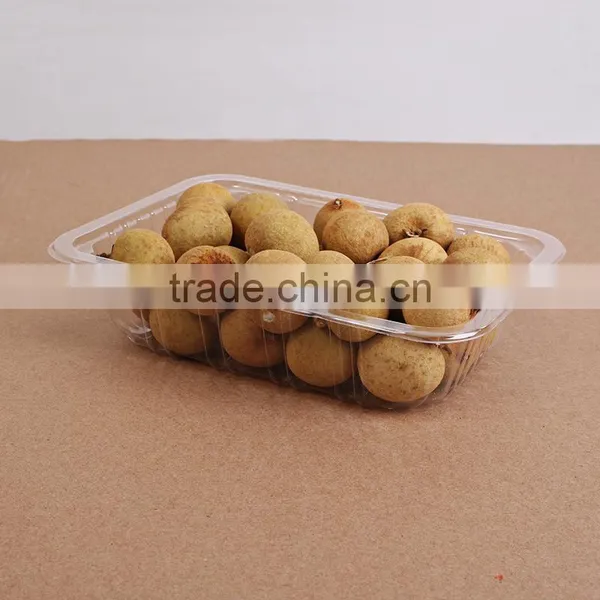 750ml Disposable PP Transparent Seafood Fruit Plastic Container photo-2