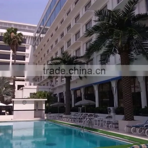 Outdoor Use Artificial Huge Middle East Palm Tree photo-3