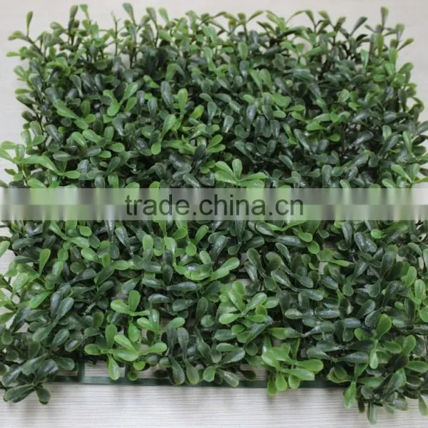 Artificial Boxwood Grass Mat/Hedge Outdoor UV Protection Artificial Boxwood Hedge Vertical Garden photo-6