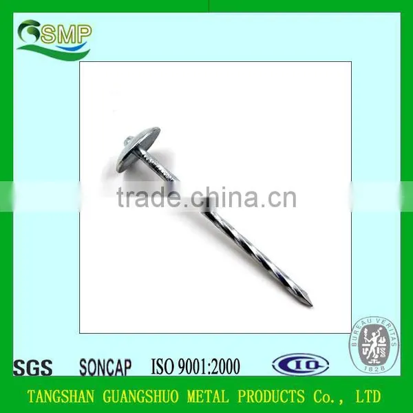 BWG9*2.5" Roofing Nails photo-3