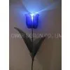 Silk Flower, Lighting Flower Series
