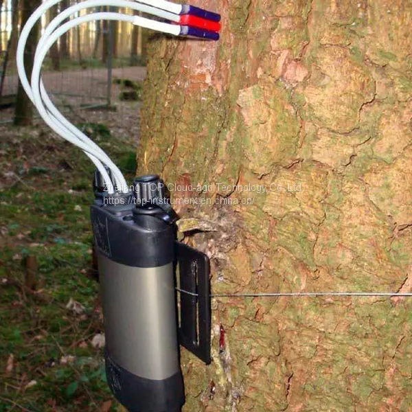 Sap Flow System photo-2