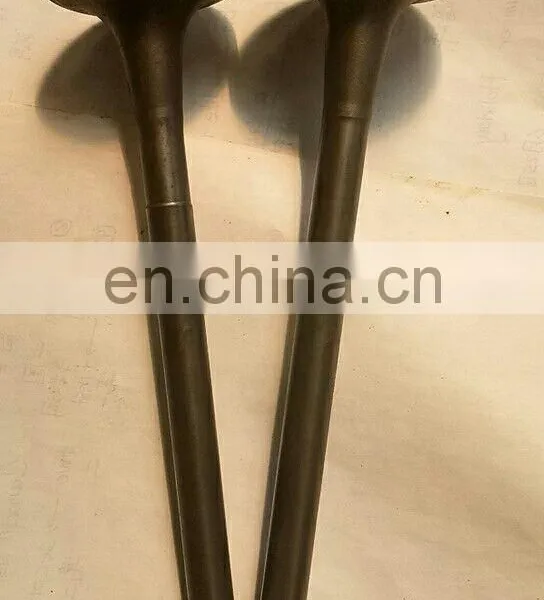 1W1822 2W3211 Engine Exhaust Valve CAT Diesel Engine Model D379B D398B D399K photo-3