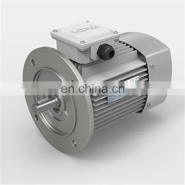 YE2 Series Electric Motor High Speed Three Phase Induction Motor for Industry Machinery Asynchronous Motor photo-3