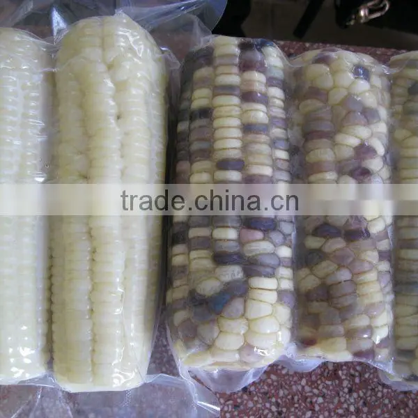 USA Fresh Yellow Sweet Corn Vietnam With Best Price photo-3