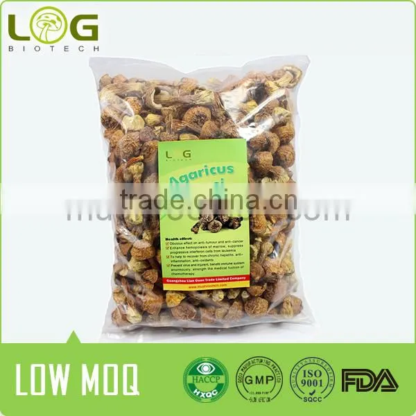 Agaricus Blazei Medical Mushroom photo-3