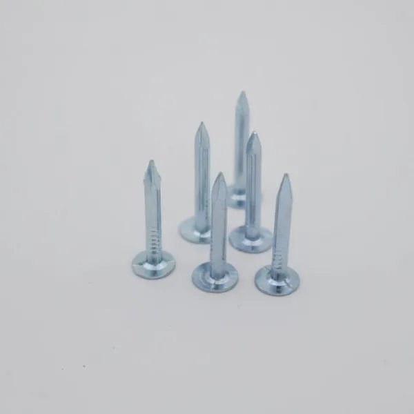 20mm Roofing Clout Nails With Galvanized Coating - Sample Orders Available for Testing photo-3