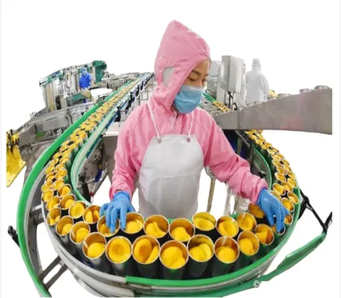 Good Quality Orange Can Canning Canned Fruit Processing Production Line Genyond photo-6