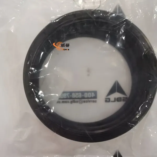 SDLG Original 4110002791 Oil Seal 0.2kg 4110002791 Sealing Ring in Stock