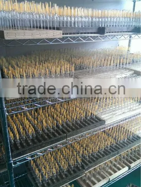 A60 4w E27 220v-240v Filament Led With CE&RoHS 2Years Warantty Warm Whit photo-5
